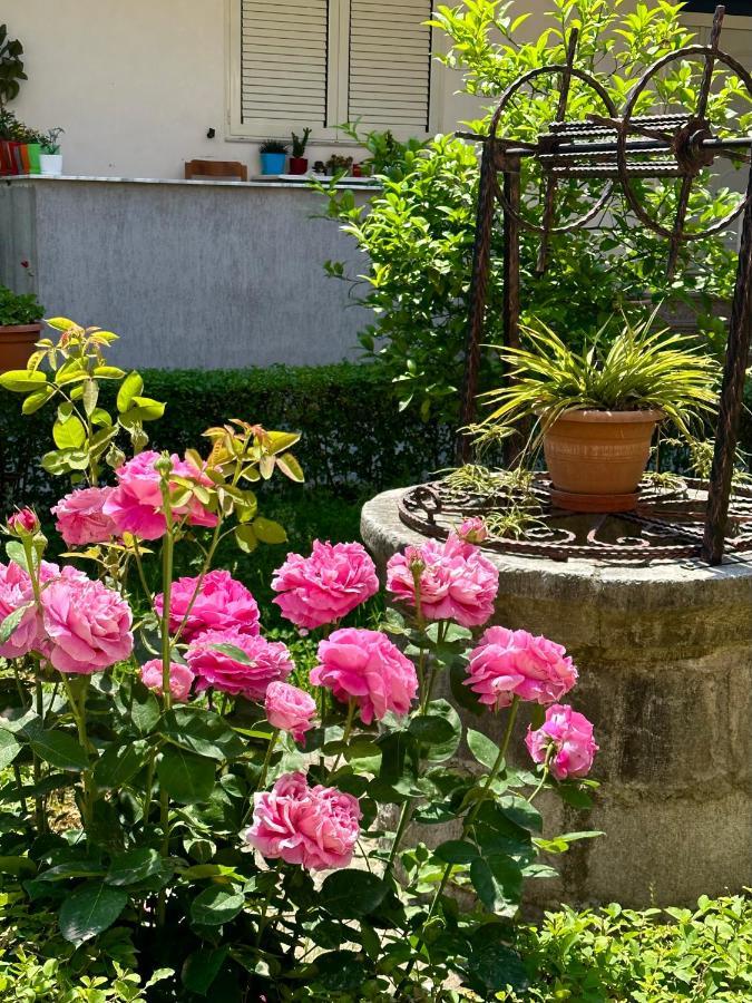 Js House Shkoder 1 Διαμέρισμα Εξωτερικό φωτογραφία