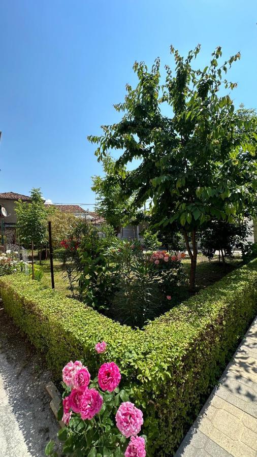 Js House Shkoder 1 Διαμέρισμα Εξωτερικό φωτογραφία